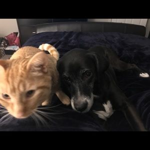 Meet your Posher, Laura